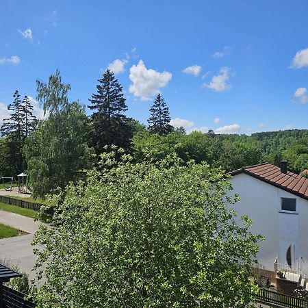 Lions Place Premium Apartments Executive Luxus Penthouse Inklusive Spa Heidenheim an der Brenz Eksteriør billede