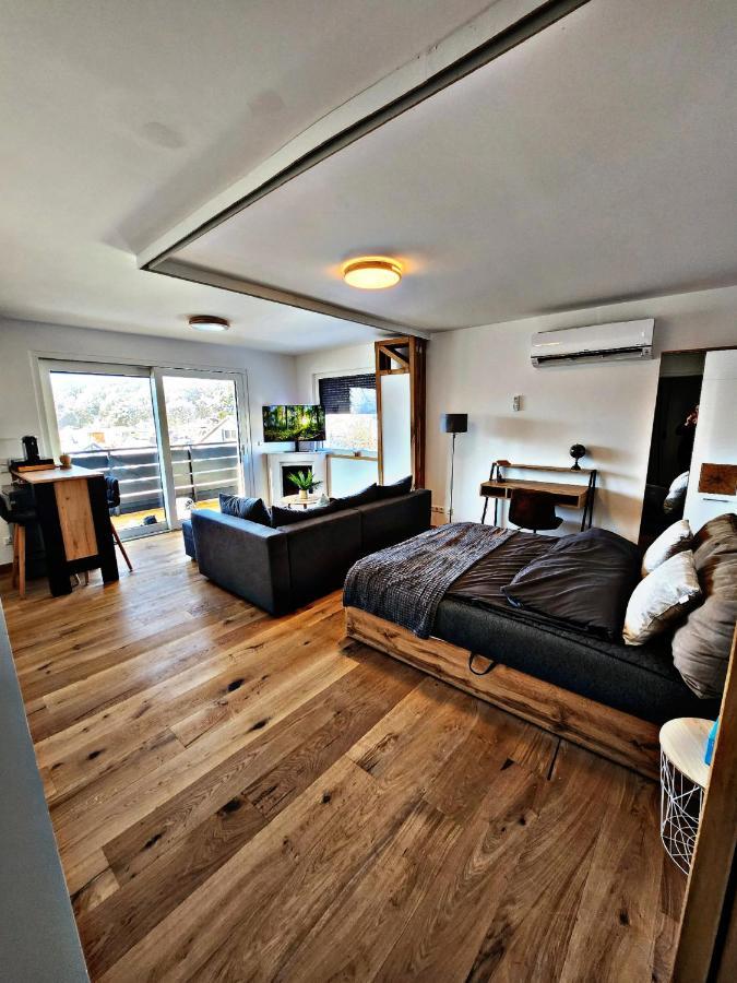 Lions Place Premium Apartments Executive Luxus Penthouse Inklusive Spa Heidenheim an der Brenz Eksteriør billede