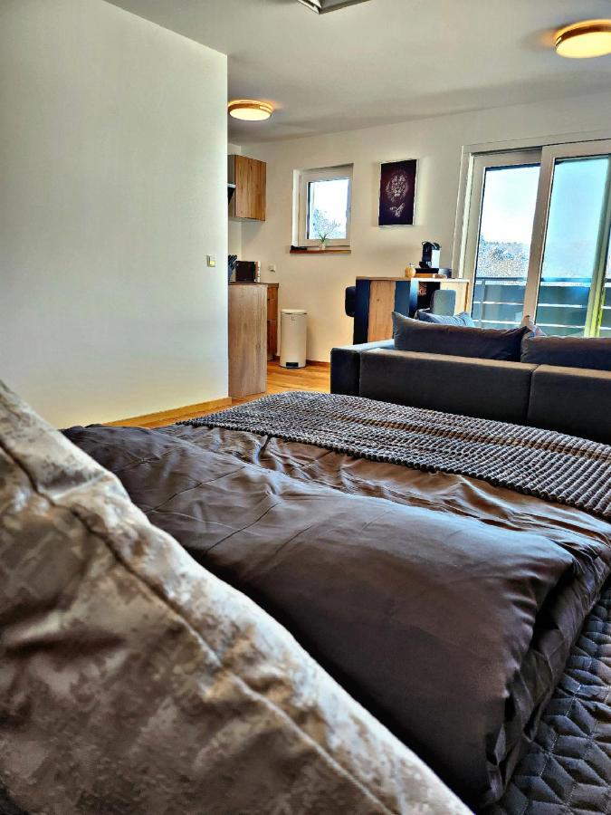 Lions Place Premium Apartments Executive Luxus Penthouse Inklusive Spa Heidenheim an der Brenz Eksteriør billede