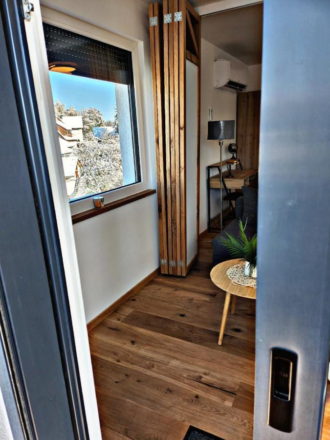 Lions Place Premium Apartments Executive Luxus Penthouse Inklusive Spa Heidenheim an der Brenz Eksteriør billede