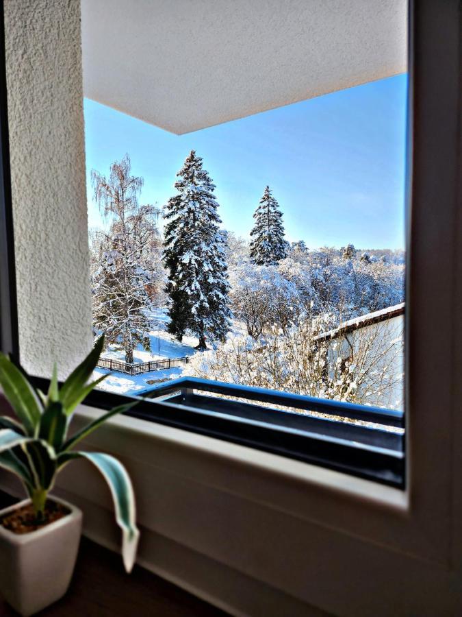 Lions Place Premium Apartments Executive Luxus Penthouse Inklusive Spa Heidenheim an der Brenz Eksteriør billede