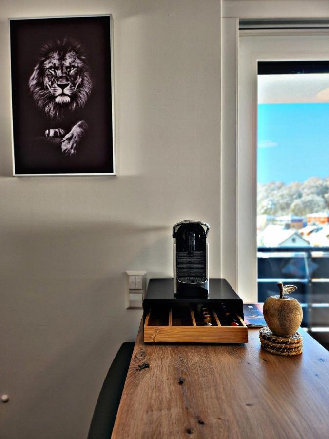Lions Place Premium Apartments Executive Luxus Penthouse Inklusive Spa Heidenheim an der Brenz Eksteriør billede