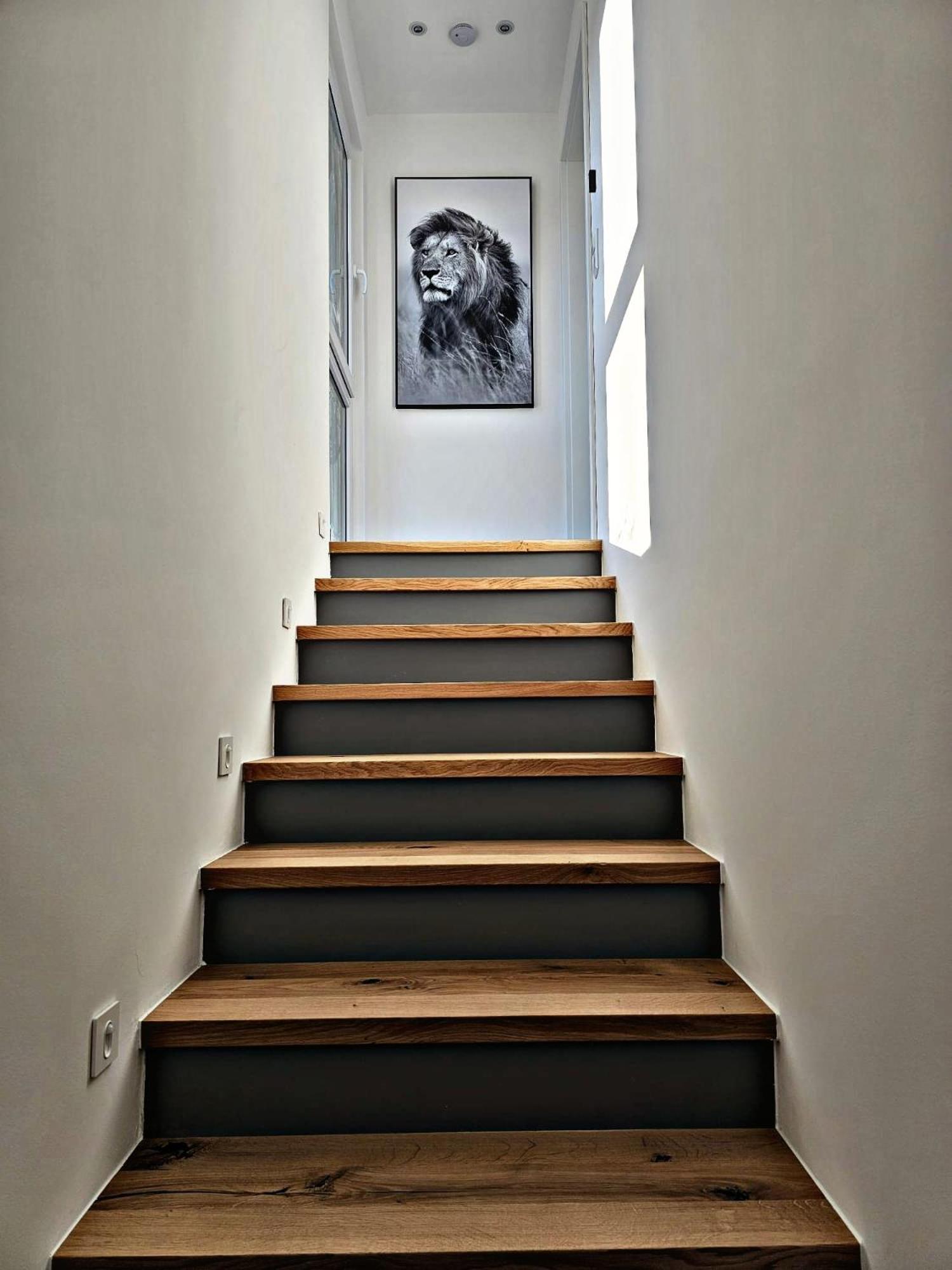 Lions Place Premium Apartments Executive Luxus Penthouse Inklusive Spa Heidenheim an der Brenz Eksteriør billede