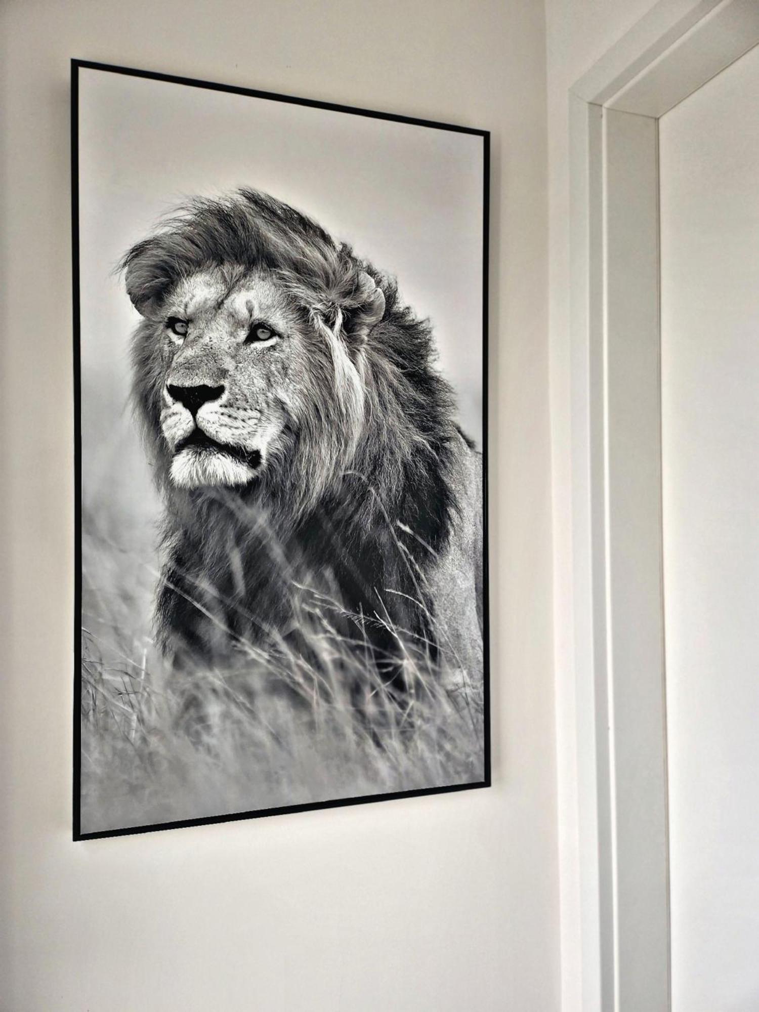 Lions Place Premium Apartments Executive Luxus Penthouse Inklusive Spa Heidenheim an der Brenz Eksteriør billede