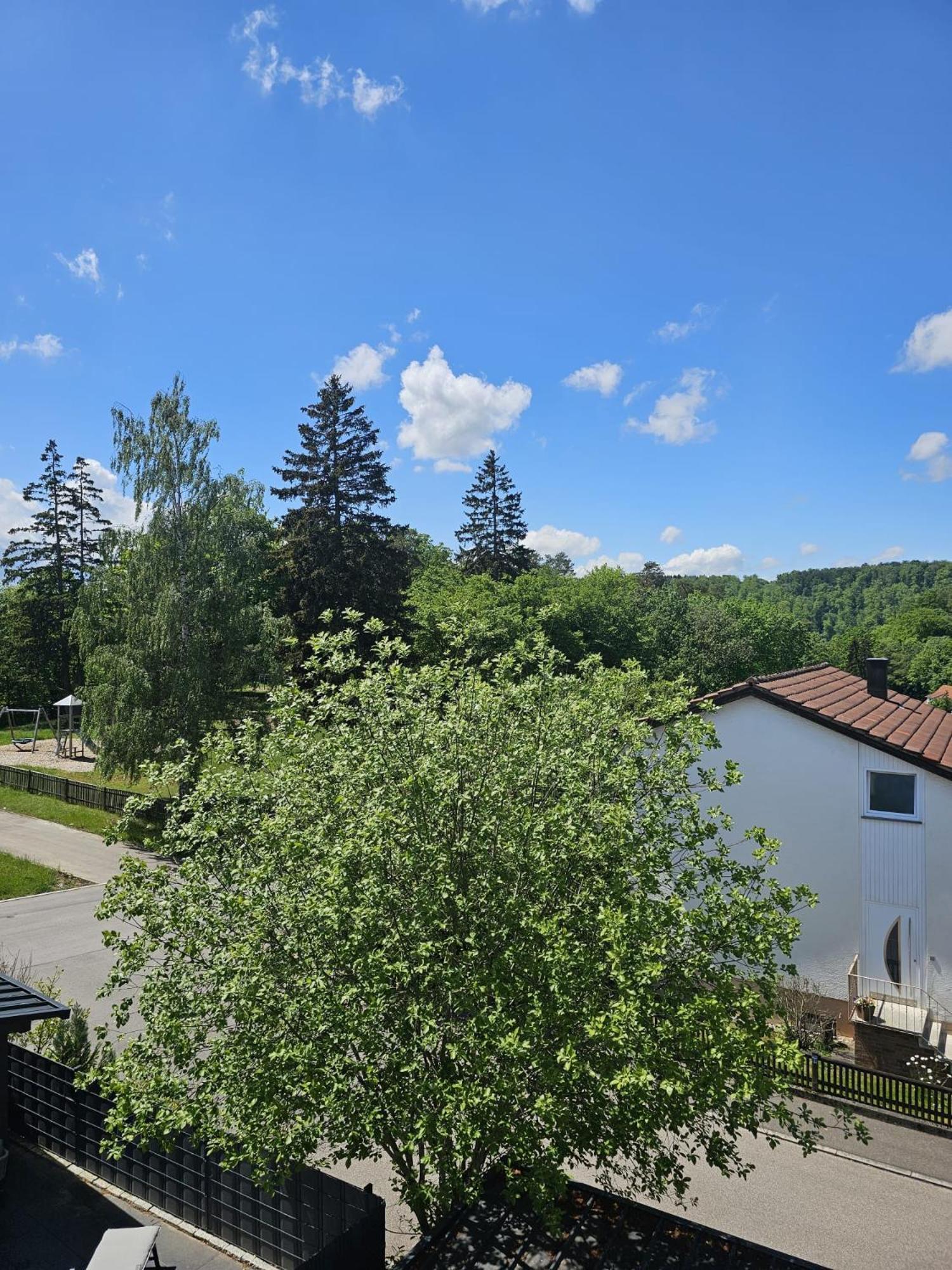 Lions Place Premium Apartments Executive Luxus Penthouse Inklusive Spa Heidenheim an der Brenz Eksteriør billede